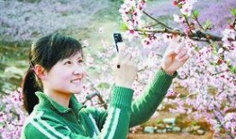 桃花绽放电视剧全集在线观看,穿越时空的浪漫传奇